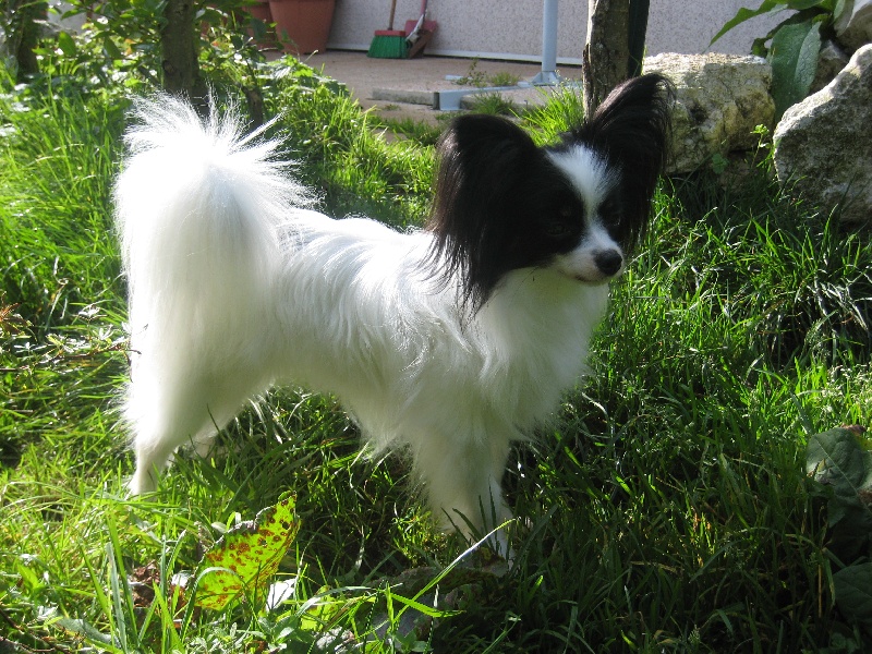 sweet little butterfly Holly